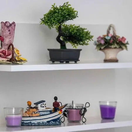 Apartmán Zvone Nečujam